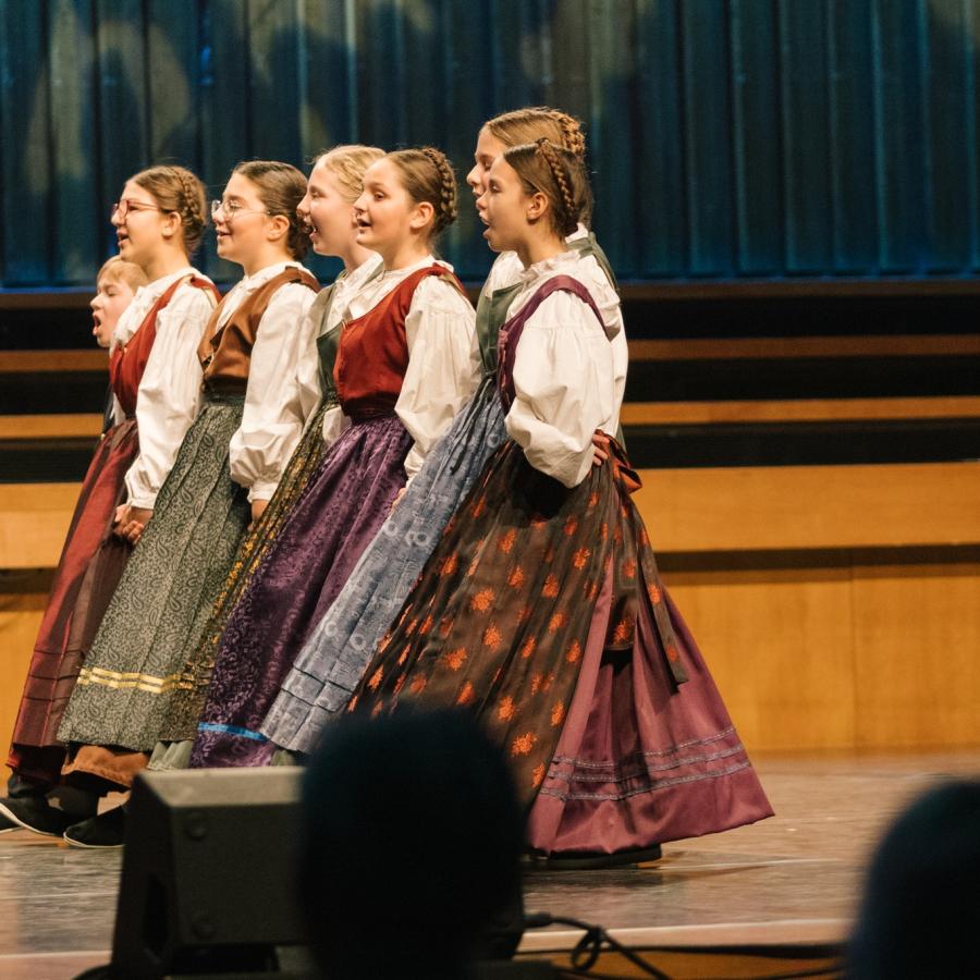 Nasih 30 Obljetnicki Koncert Fass 051