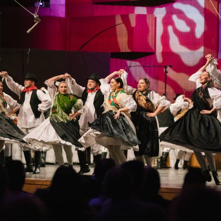 Nasih 30 Obljetnicki Koncert Fass 176