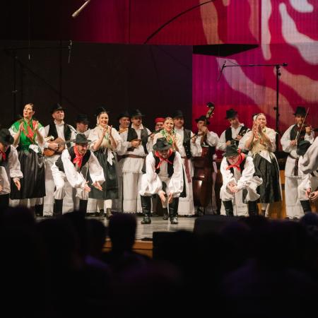 Nasih 30 Obljetnicki Koncert Fass 179